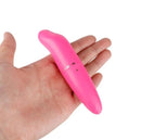 Mini Vibrador Bullet Feminino Golfinho Estimulador de Ponto G