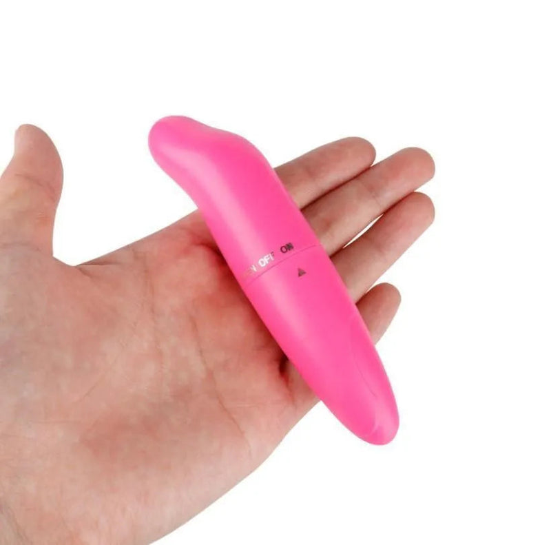 Mini Vibrador Bullet Feminino Golfinho Estimulador de Ponto G